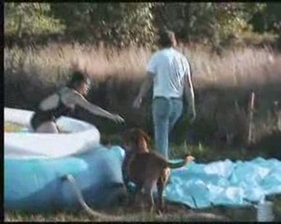 piscine 2009