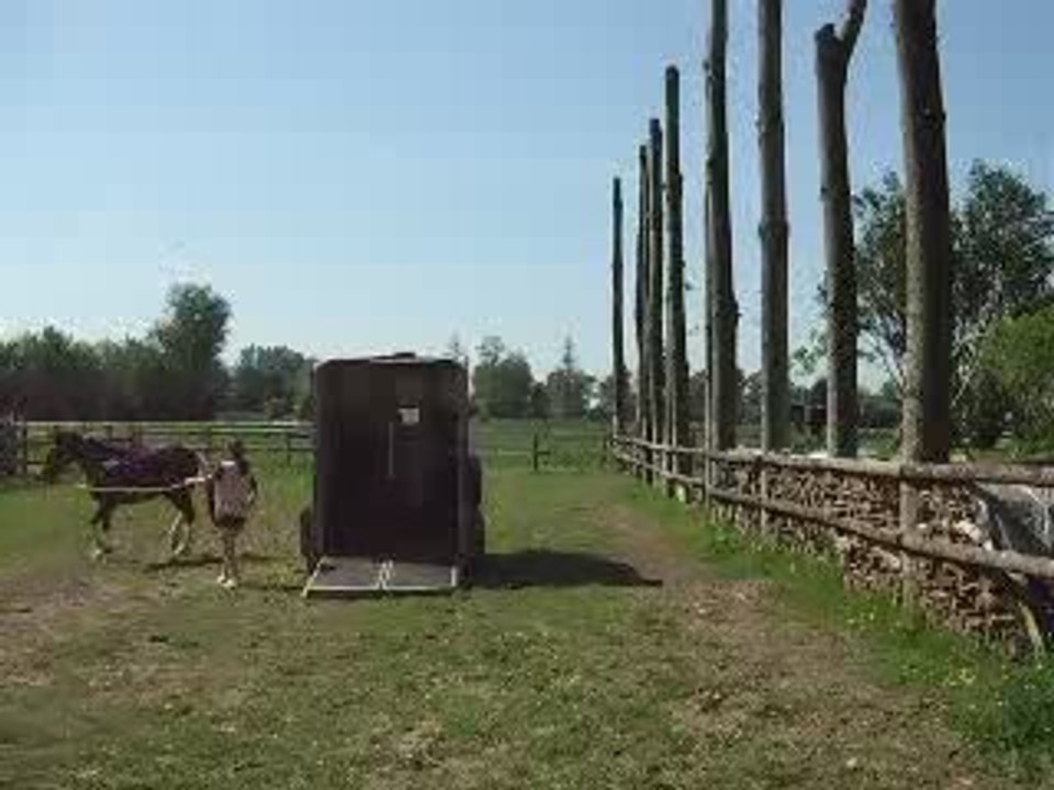 Cheyenne travail van