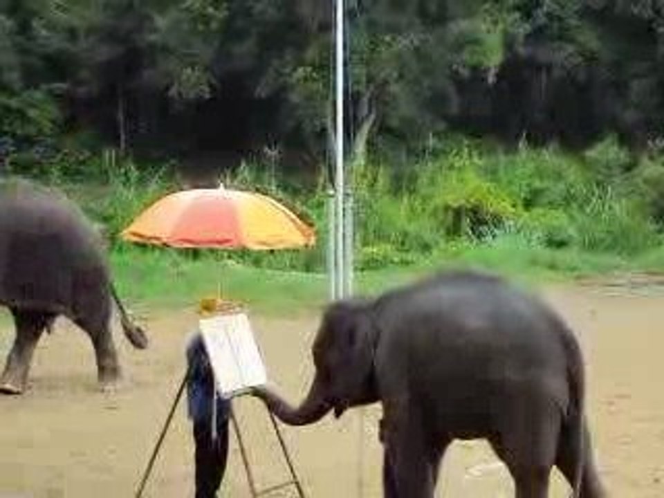 Elephant peintre.