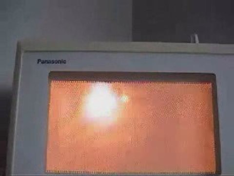 Feu dans le micro ondes
