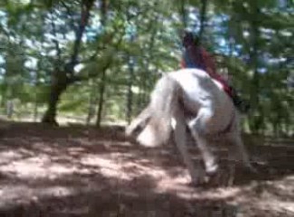 Le 27 aout (l) - Noémie <3