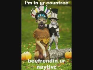 MUST SEE - Very Funny CATS 11, funny animals