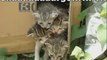 MUST SEE - Very Funny CATS 12, funny animals