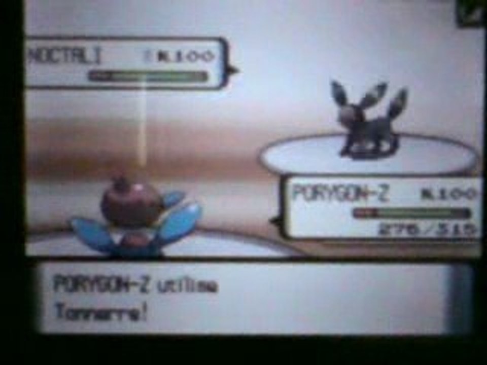 D7 VS Shinatoyo