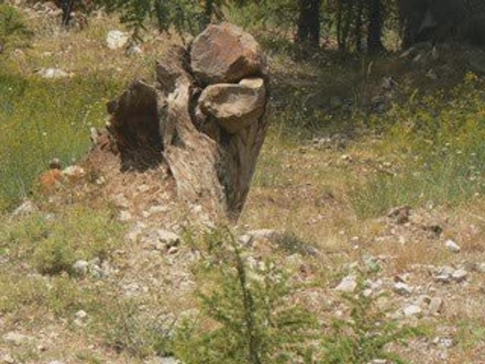 Azrou N'Thour & les chahids du village Ait Adella