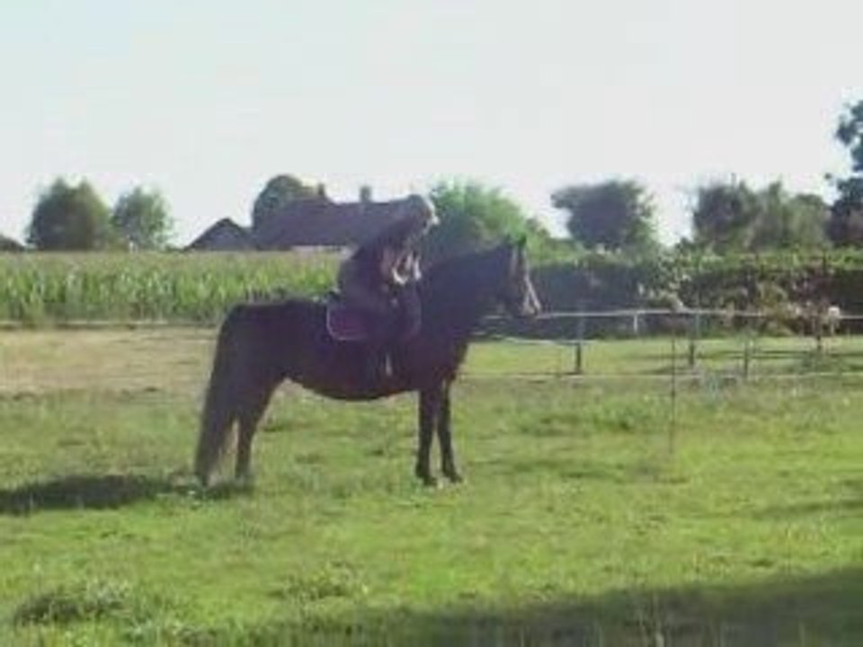émilie et pépette 2