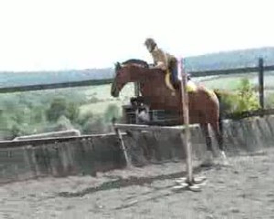 saut