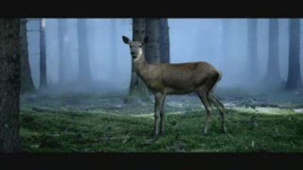 Ribery - Schön gewinnt kein Fußballspiel!