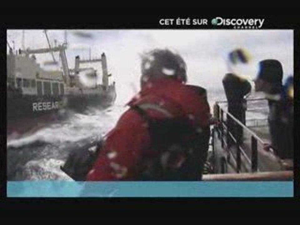 Whale Wars - Bande Annonce.