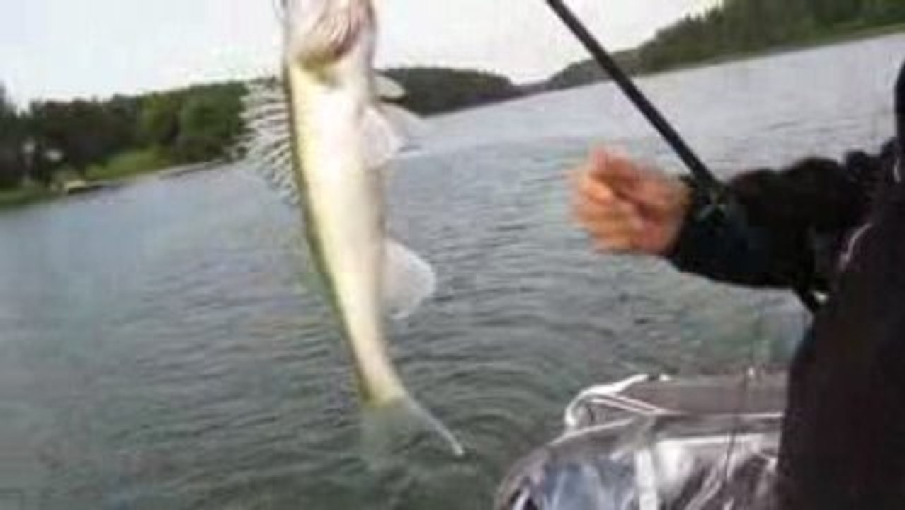 SUDAK AVIM 28.8.2009 003