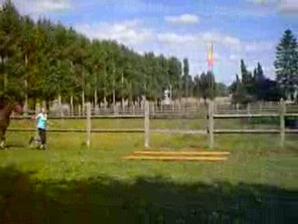 BCA 2009