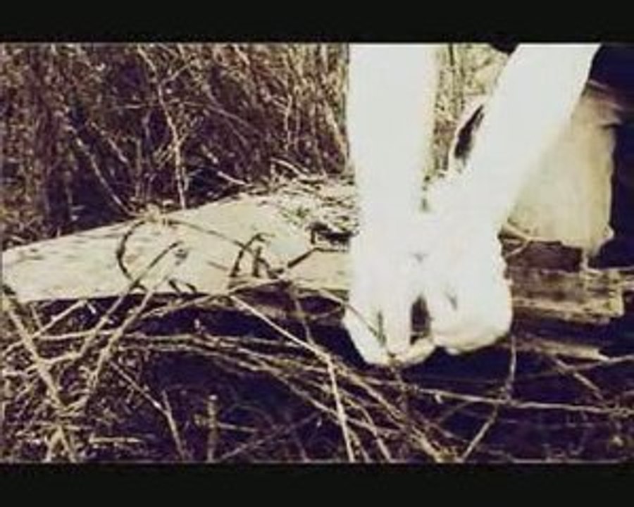 SGHOR - KKK IV (http://www.beastofprey.com/)
