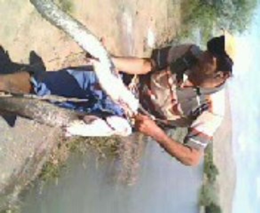 KIRIKKALE YAYIN AVIMIZ.