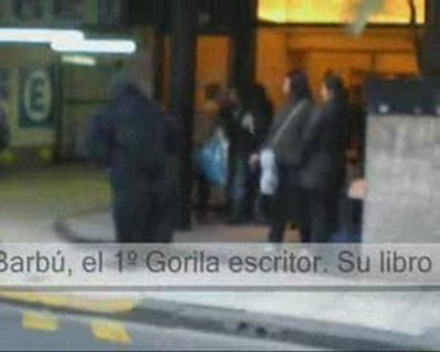 Pánico en las calles, gorila suelto.