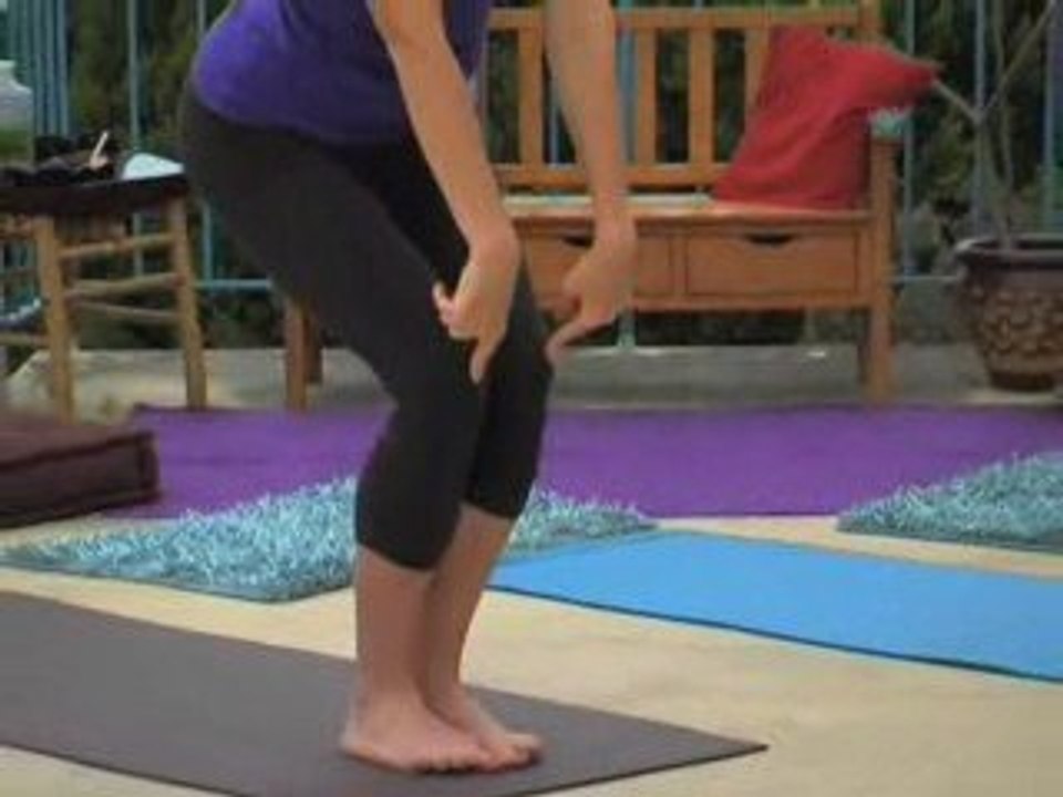 Hatha / Vinyasa Flow Yoga