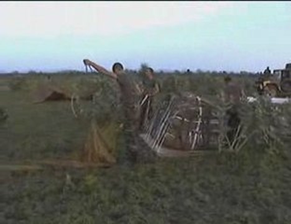 1er LPA sur MONGO (Tchad 2002)