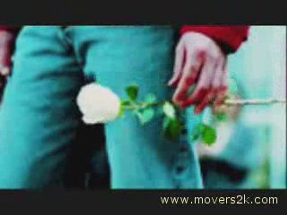 Funny Moving Pictures @ www.movers2k.com