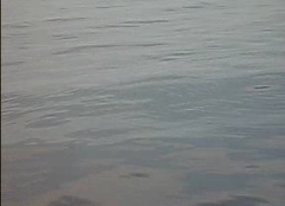 Le poisson lune