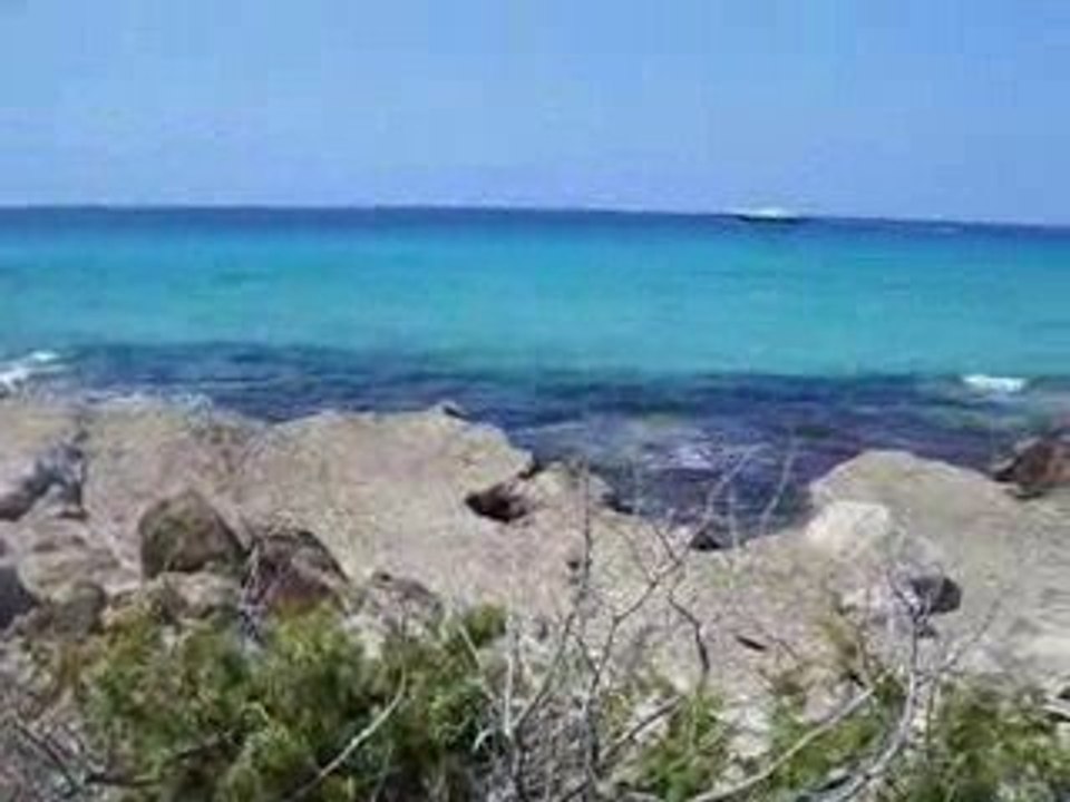 Saleccia beach Corsica