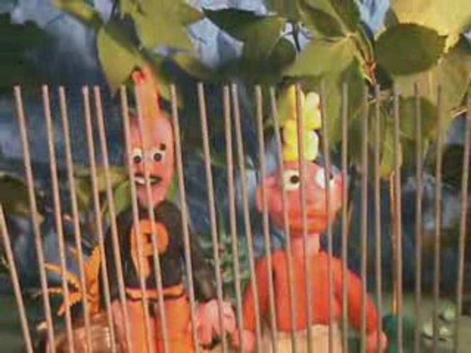 La contamination des carottes