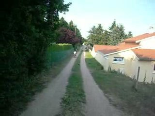 Fête De Solène (2)