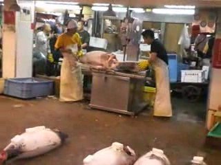 Tsukiji fish market 築地市場