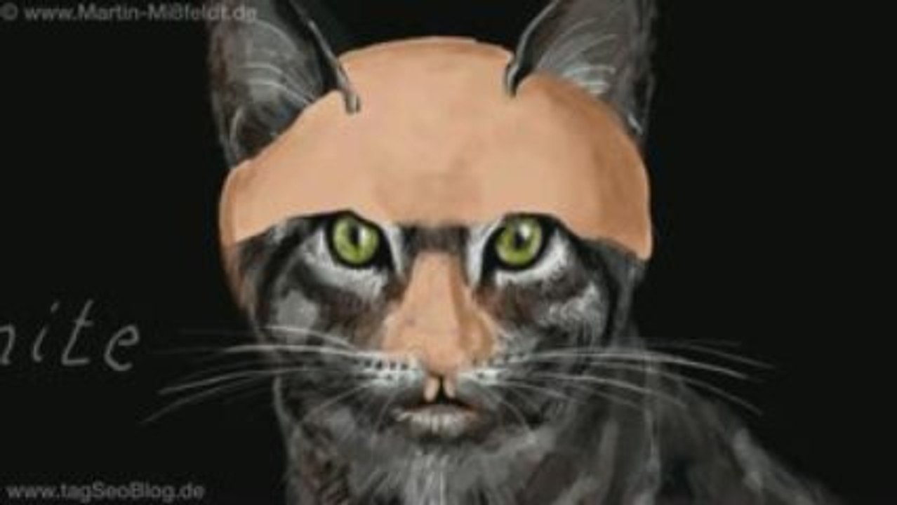 Fridaynite as Cat - speedpainting by Martin Missfeldt