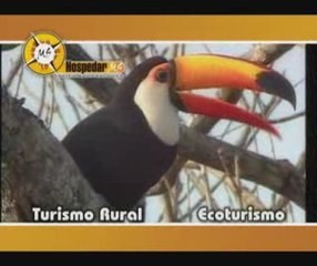 Hospedar Agência de Turismo