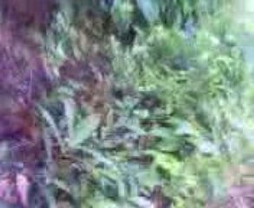 mon couzin et son pote