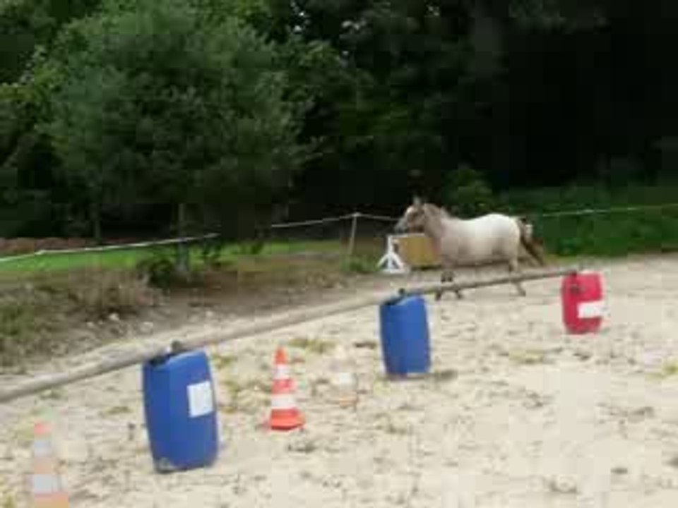 Tikal: premiers sauts en liberté