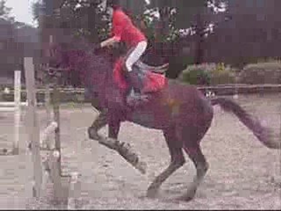 Stage de saut avec écureuiiil