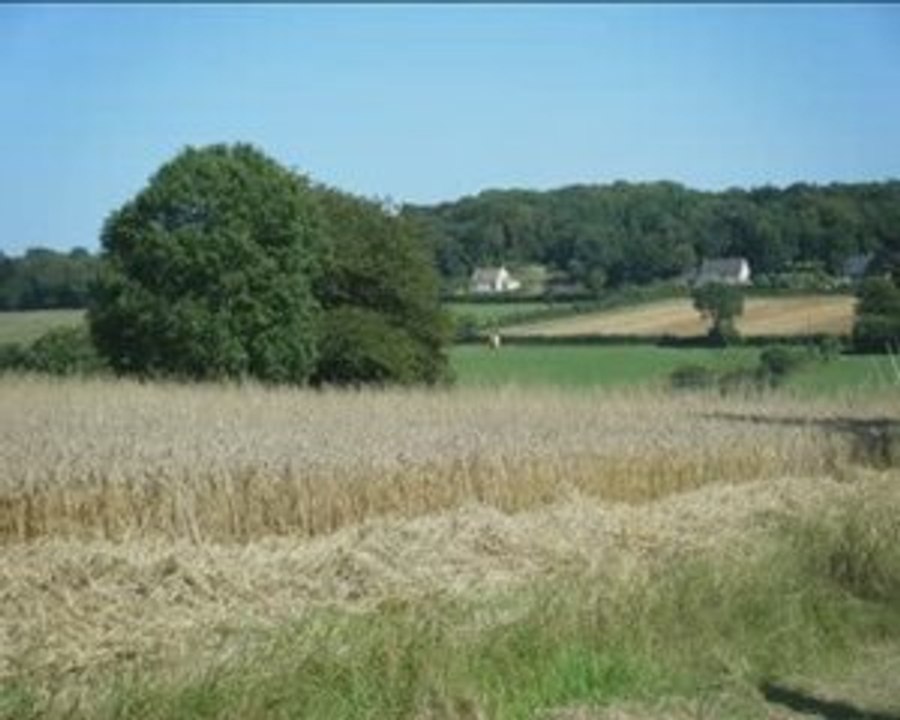 la moisson 2009 par vidéoagri50