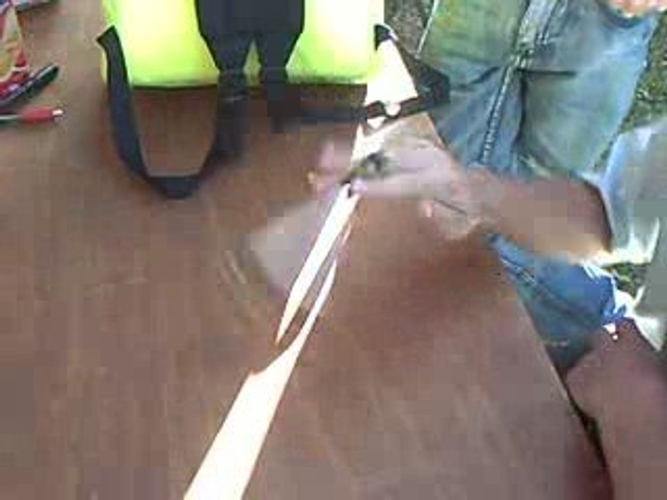 Phlogistique (Phlogistique versus Spenblue)