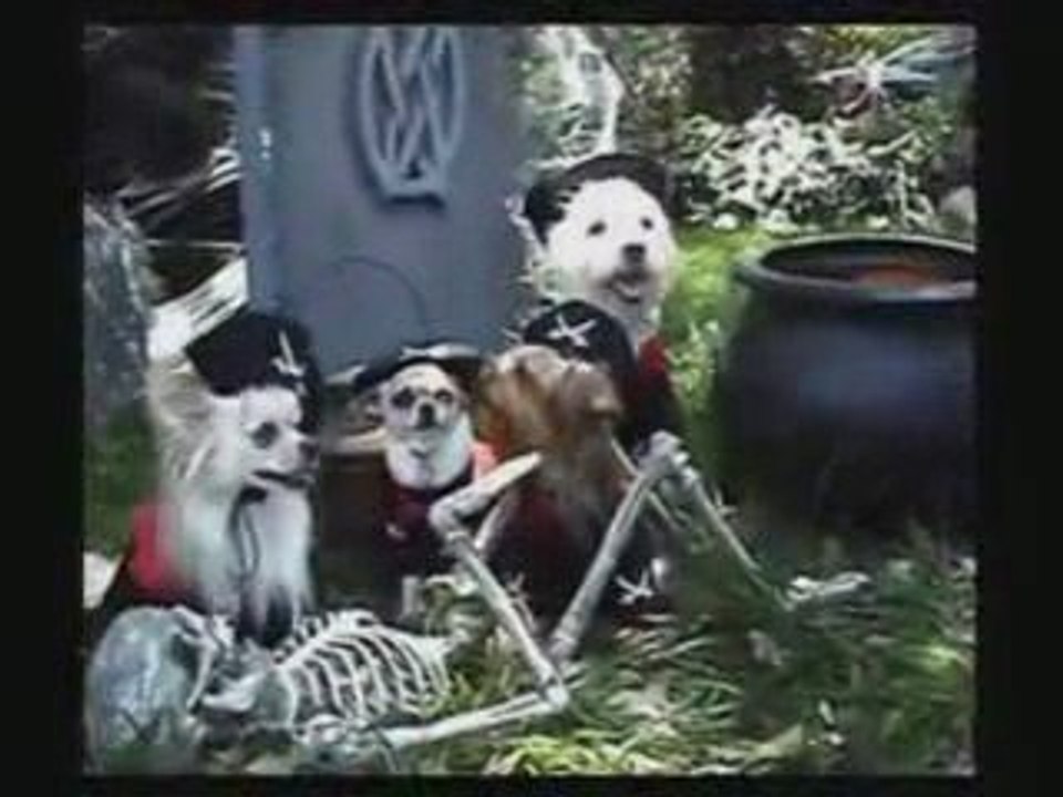 Dog Costumes for Halloween