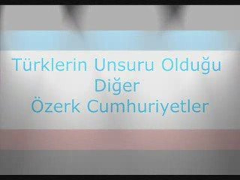 TÜRK DEVLETLERİ