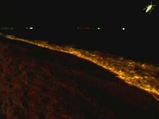 VERANO 2009.  EL SONIDO DE LA MAR PARA CUANDO HAGA FALTA