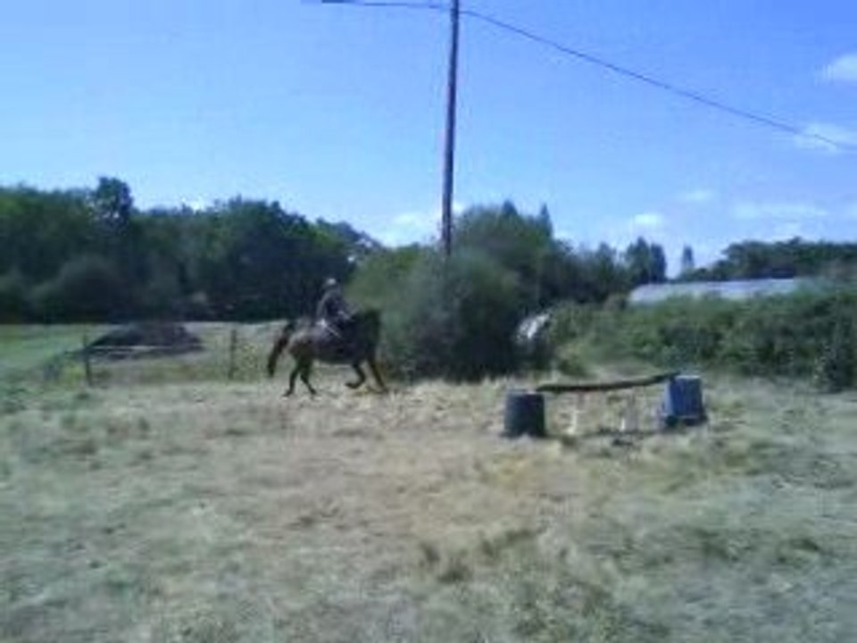 Rikita sur une ligne