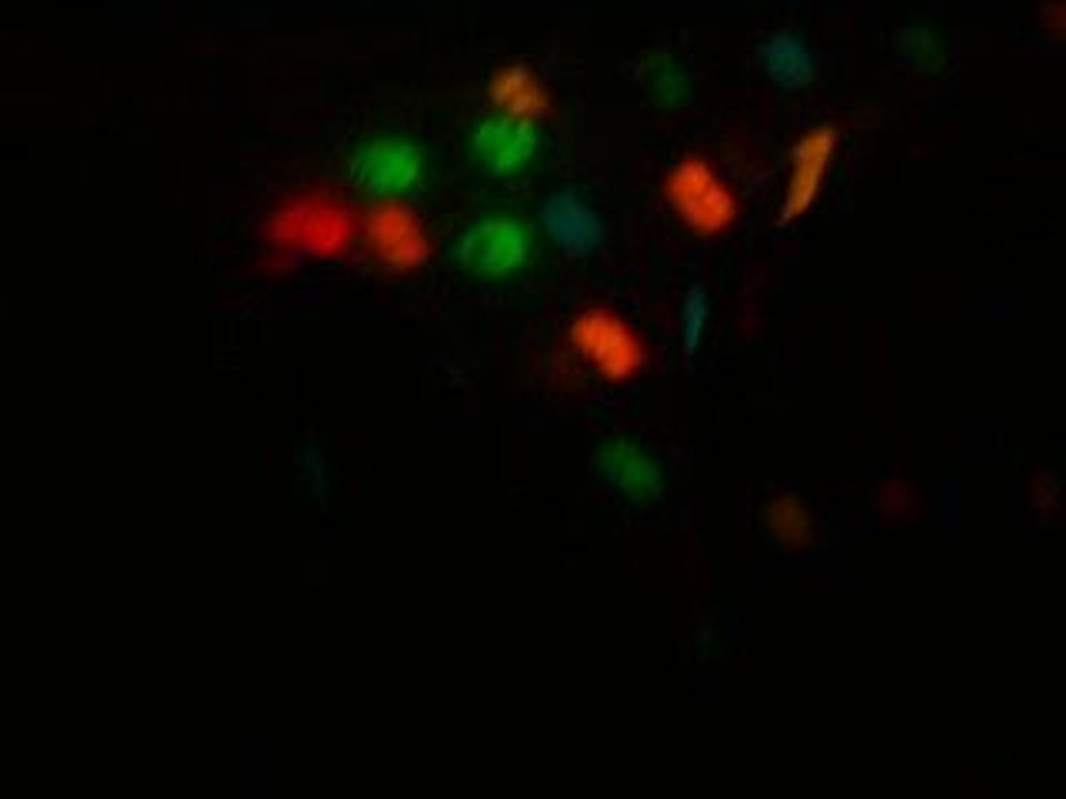 gotcha mix  da kids party 2 28/08/09 caves du chapelais