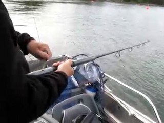 TURNA AVINDA LEVREK  29.8.2009 005