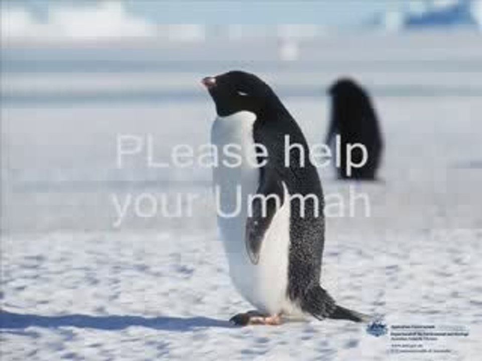 ♥ ♥ ♥ ♥ ♥ ♥ ♥ Al hamdou li Allah ♥ ♥ ♥ ♥ ♥ ♥ ♥