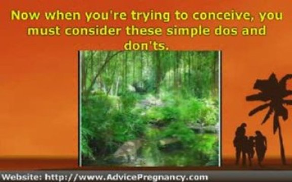 Pregnancy Miracle Review - Lisa Olson Pregnancy Miracle?