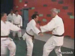 Martial Arts – Multiple Attackers Demo