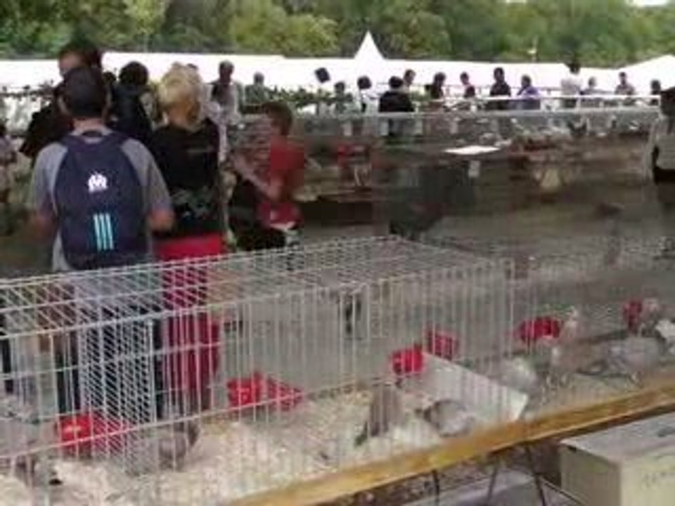 Ambiance salon de la chasse