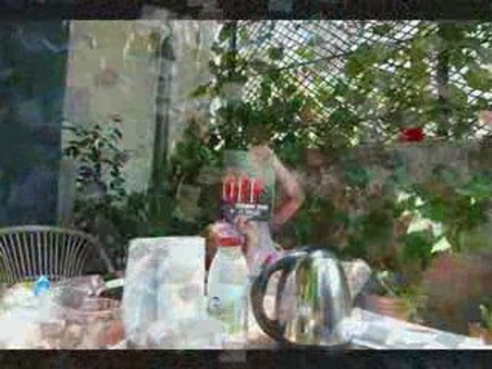 Retour des Nardos Août 2009