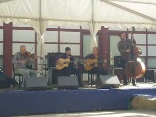 Rendez vous de l'Erdre, jazz manouche (2)
