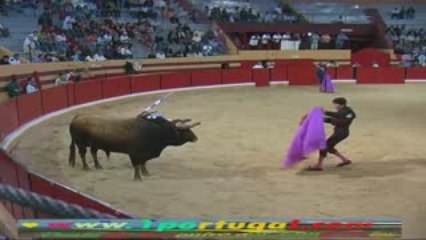 Tourada em Abiul Pombal 01 08 09 N.11