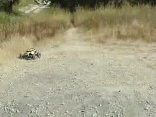 traxxas SUMMIT MOTEUR KERSHAW_0001