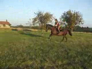 Bella & Moi Galop : )