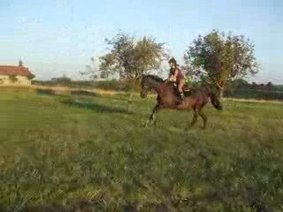 Bella & Moi Galop : )