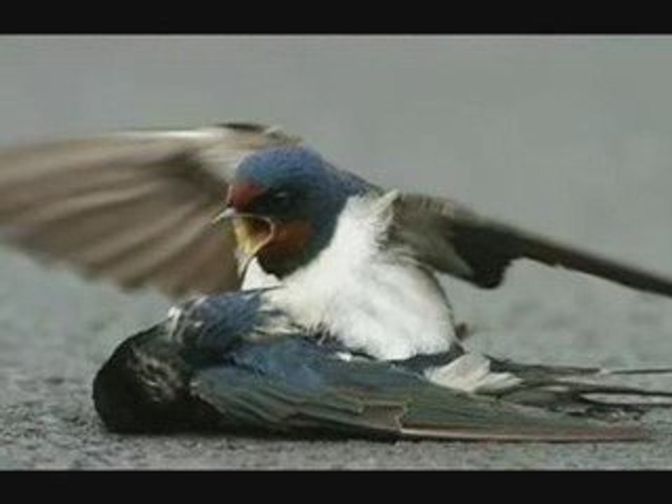 1117264344549_55532[1]